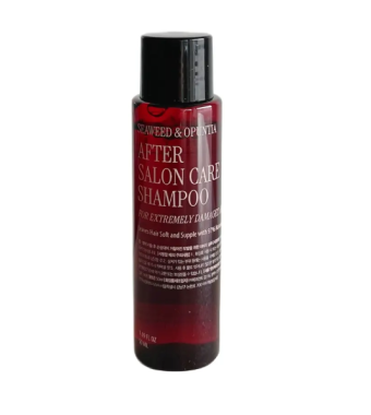 CURLYSHYLL After Salon Care Shampoo