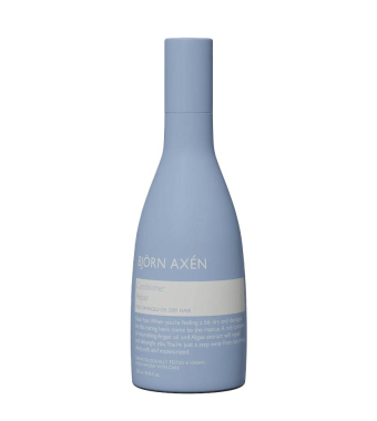 BJORN AXEN Repair Conditioner